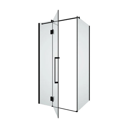Paroi de douche fixe avec porte pivotante style industriel finition noir mat - 100 cm - PRINCETON