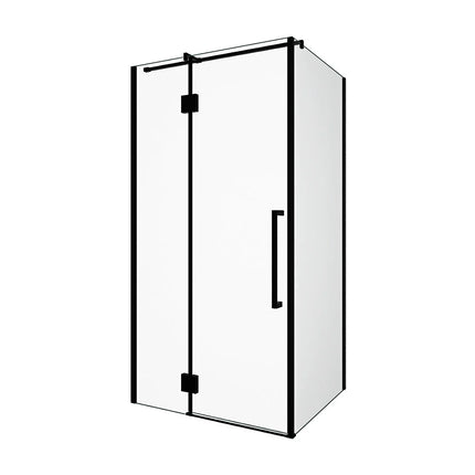 Paroi de douche fixe avec porte pivotante style industriel finition noir mat - 100 cm - PRINCETON