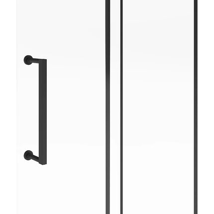 Paroi de douche à l'italienne style industriel finition noire mate - 120 cm - YOREM