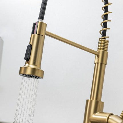 Mitigeur de cuisine avec douchette extractible LUXOR - DS CONCEPT