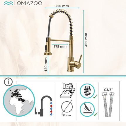 Mitigeur de cuisine avec douchette extractible LUXOR - DS CONCEPT